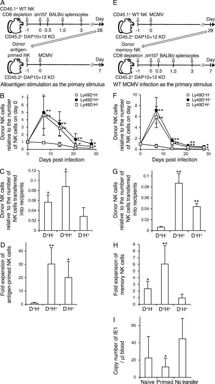 https://cdn.ncbi.nlm.nih.gov/pmc/blobs/e455/4235640/ec5ef519eab6/JEM_20140798_Fig6.jpg