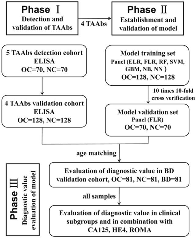 https://cdn.ncbi.nlm.nih.gov/pmc/blobs/e456/11058243/2f5b73399d7b/41598_2024_60544_Fig1_HTML.jpg