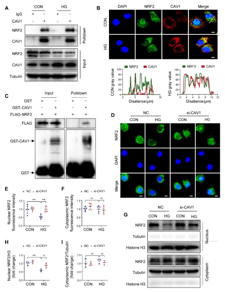 https://cdn.ncbi.nlm.nih.gov/pmc/blobs/e45a/12036865/49f3efa4abd1/thnov15p4989g004.jpg