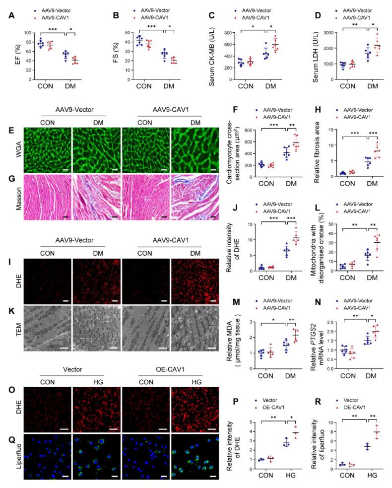 https://cdn.ncbi.nlm.nih.gov/pmc/blobs/e45a/12036865/86da85294046/thnov15p4989g003.jpg