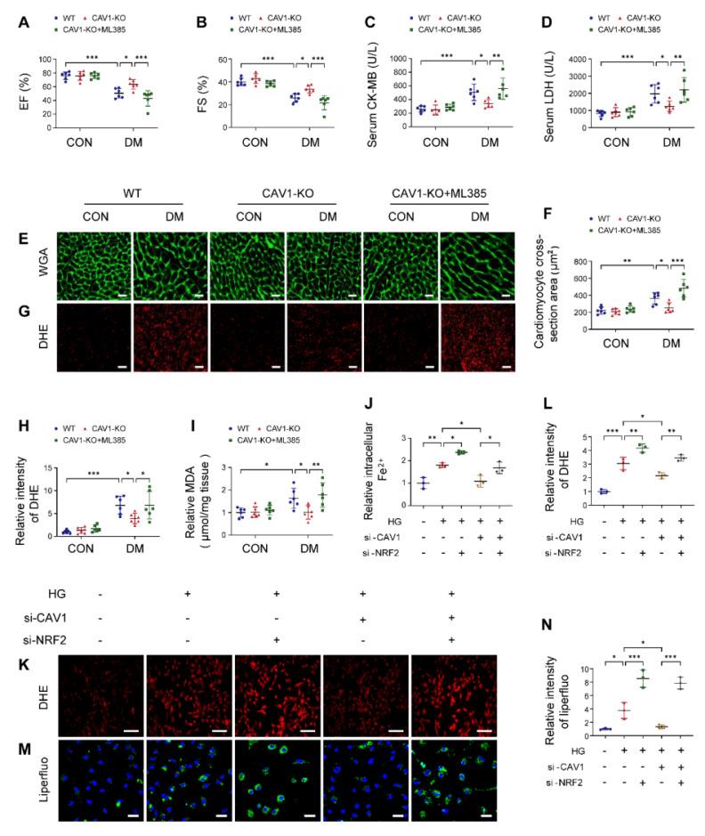 https://cdn.ncbi.nlm.nih.gov/pmc/blobs/e45a/12036865/b312116f5c4f/thnov15p4989g006.jpg