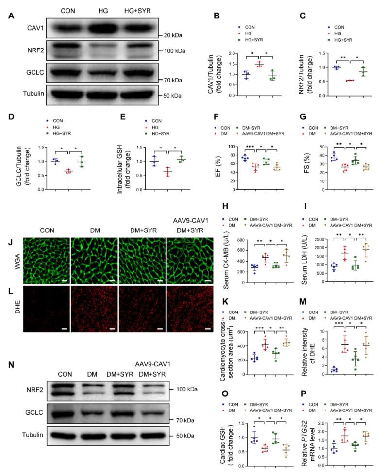 https://cdn.ncbi.nlm.nih.gov/pmc/blobs/e45a/12036865/bb0f3b9aeb28/thnov15p4989g008.jpg