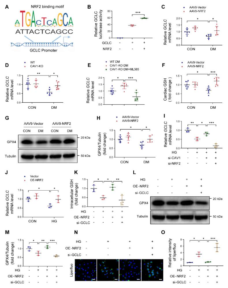 https://cdn.ncbi.nlm.nih.gov/pmc/blobs/e45a/12036865/d5b1b2c954f6/thnov15p4989g007.jpg