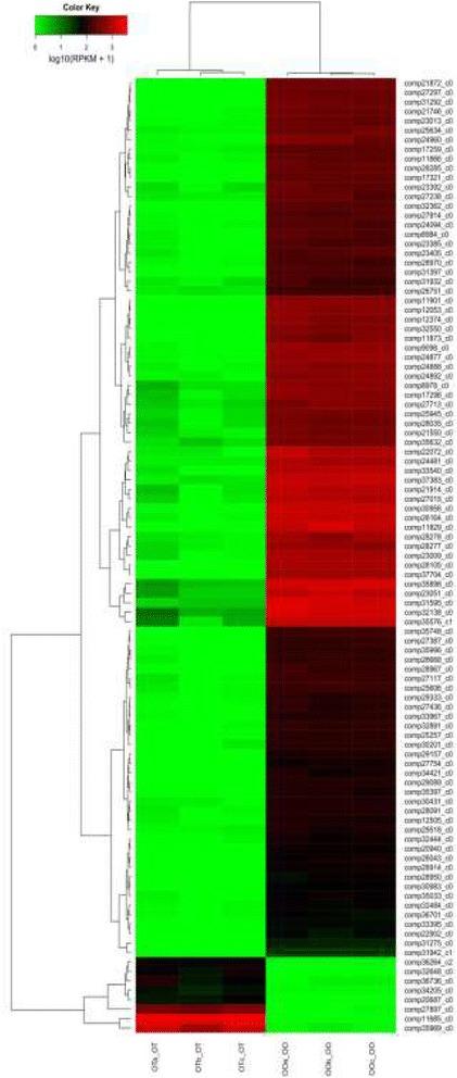 https://cdn.ncbi.nlm.nih.gov/pmc/blobs/e45a/5557427/d31433ef731a/12864_2017_3995_Fig1_HTML.jpg