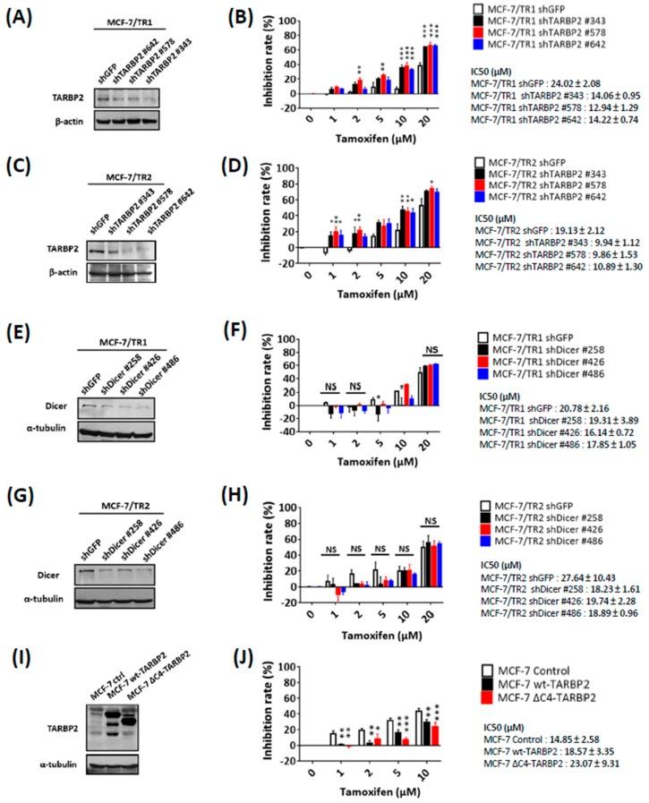 https://cdn.ncbi.nlm.nih.gov/pmc/blobs/e45d/6406945/5b8234425c8a/cancers-11-00210-g002.jpg