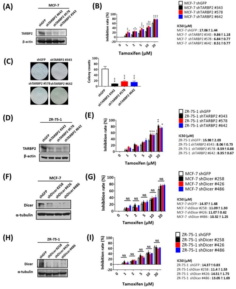 https://cdn.ncbi.nlm.nih.gov/pmc/blobs/e45d/6406945/5e0551fc4c01/cancers-11-00210-g004.jpg
