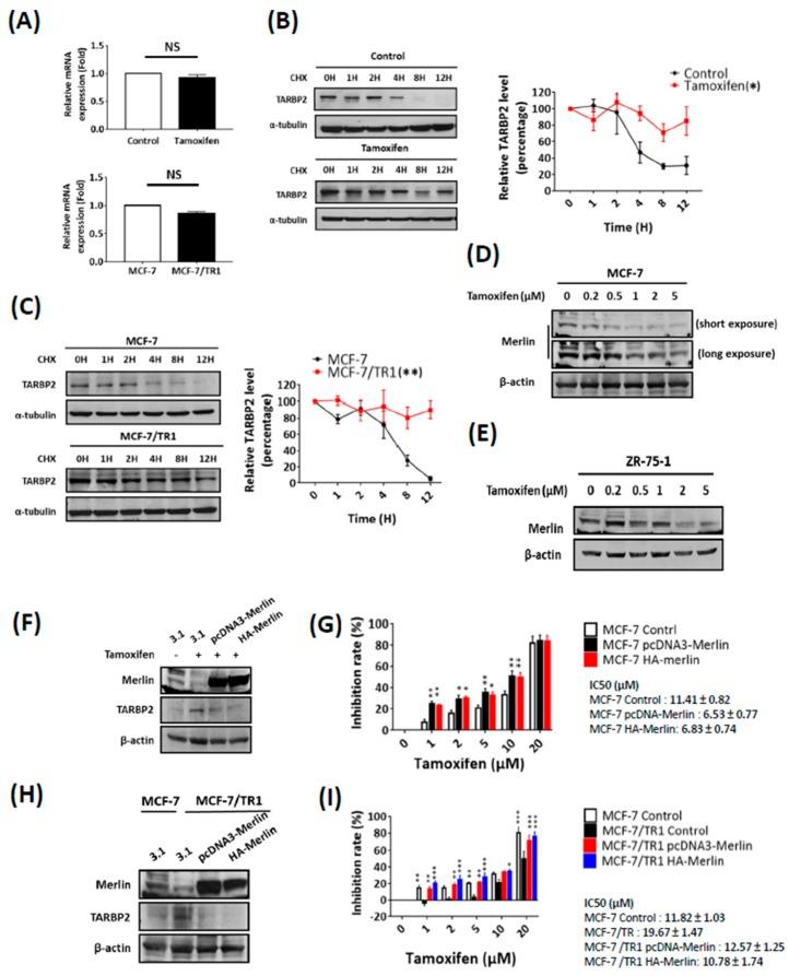 https://cdn.ncbi.nlm.nih.gov/pmc/blobs/e45d/6406945/791819123723/cancers-11-00210-g005.jpg