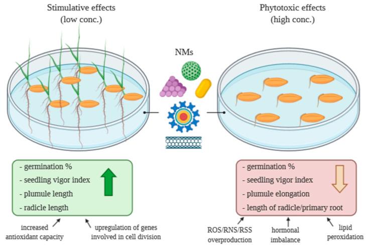 https://cdn.ncbi.nlm.nih.gov/pmc/blobs/e45e/7763982/c3cff5c9061b/plants-09-01745-g004.jpg