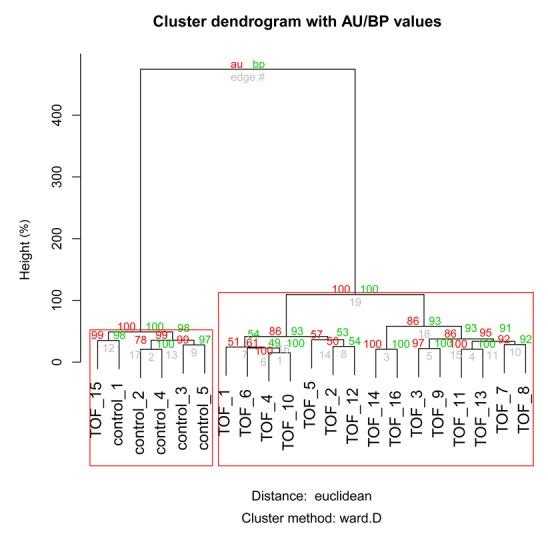https://cdn.ncbi.nlm.nih.gov/pmc/blobs/e461/5548054/98b9af54add0/MMR-16-03-2707-g00.jpg
