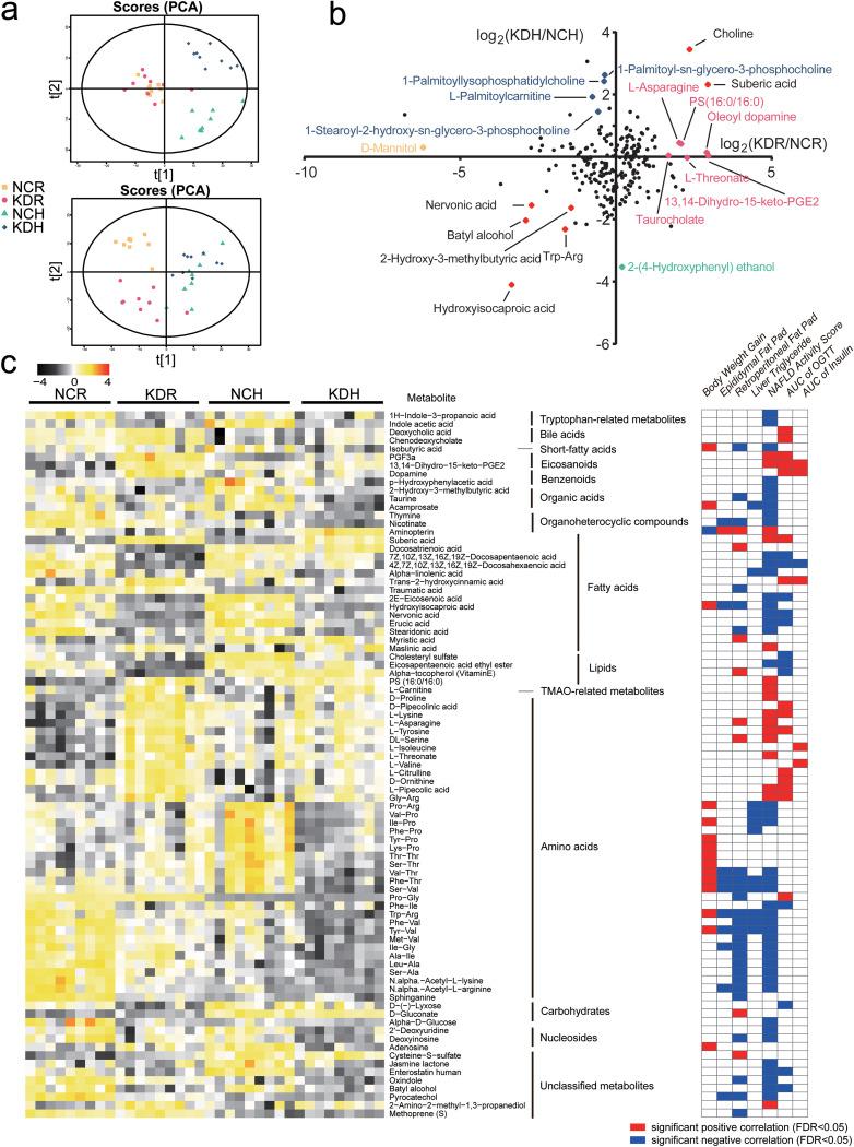 https://cdn.ncbi.nlm.nih.gov/pmc/blobs/e461/8092315/27a05ca4daf9/mBio.03601-20_f003.jpg