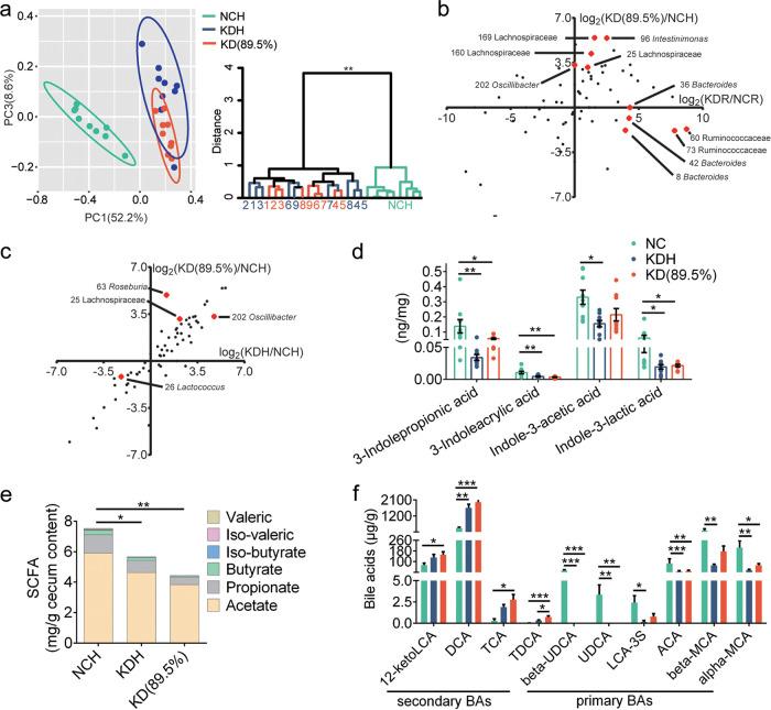 https://cdn.ncbi.nlm.nih.gov/pmc/blobs/e461/8092315/54395f397880/mBio.03601-20_f005.jpg