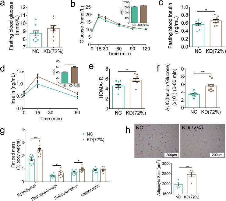 https://cdn.ncbi.nlm.nih.gov/pmc/blobs/e461/8092315/9cc35354fefd/mBio.03601-20_f006.jpg