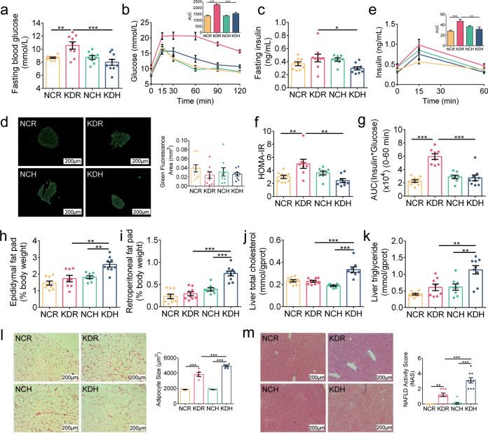 https://cdn.ncbi.nlm.nih.gov/pmc/blobs/e461/8092315/c95404e25543/mBio.03601-20_f001.jpg
