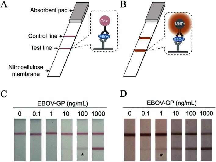 https://cdn.ncbi.nlm.nih.gov/pmc/blobs/e461/9048033/d57ebed96032/c9ra09021e-f3.jpg