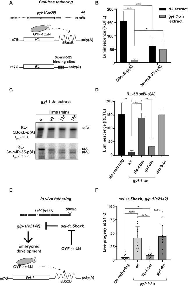 https://cdn.ncbi.nlm.nih.gov/pmc/blobs/e462/8136787/20d9b04959d5/gkab162fig4.jpg