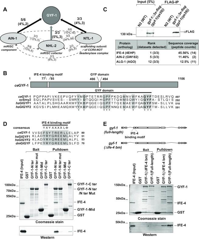 https://cdn.ncbi.nlm.nih.gov/pmc/blobs/e462/8136787/3d9959874cea/gkab162fig1.jpg