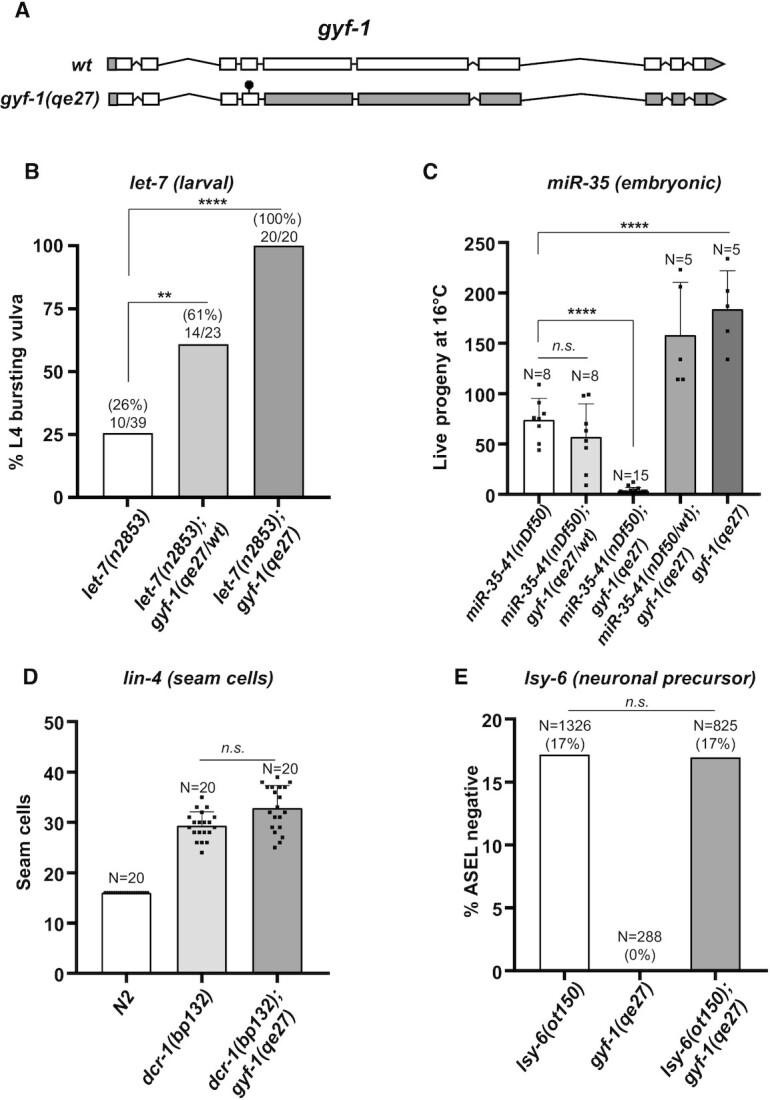https://cdn.ncbi.nlm.nih.gov/pmc/blobs/e462/8136787/44350294ebcd/gkab162fig2.jpg
