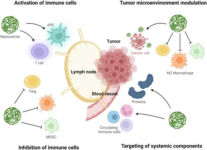 https://cdn.ncbi.nlm.nih.gov/pmc/blobs/e467/9528883/1ab9346a092e/13346_2022_1241_Fig2_HTML.jpg
