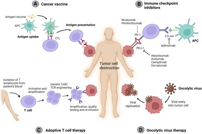 https://cdn.ncbi.nlm.nih.gov/pmc/blobs/e467/9528883/82f5be1c9886/13346_2022_1241_Fig3_HTML.jpg