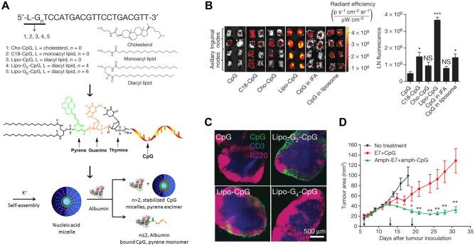 https://cdn.ncbi.nlm.nih.gov/pmc/blobs/e467/9528883/b8086746a633/13346_2022_1241_Fig4_HTML.jpg