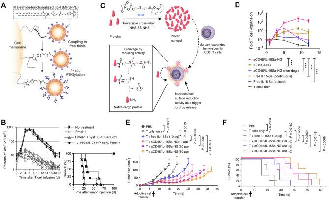 https://cdn.ncbi.nlm.nih.gov/pmc/blobs/e467/9528883/c2d9ee5b20fc/13346_2022_1241_Fig5_HTML.jpg