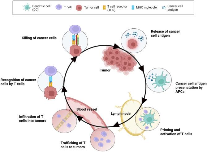 https://cdn.ncbi.nlm.nih.gov/pmc/blobs/e467/9528883/dbc6ceb6954a/13346_2022_1241_Fig1_HTML.jpg