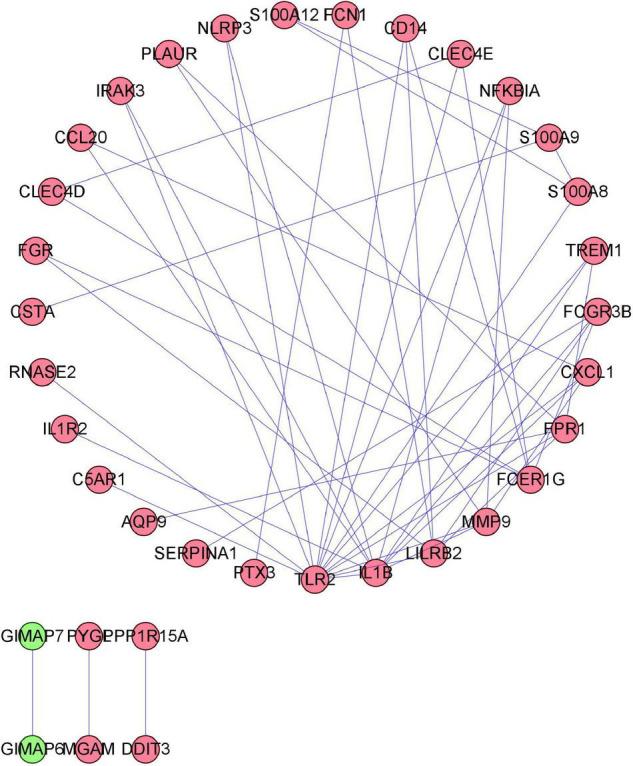 https://cdn.ncbi.nlm.nih.gov/pmc/blobs/e468/9019083/7a40869f672d/fcvm-09-831605-g006.jpg