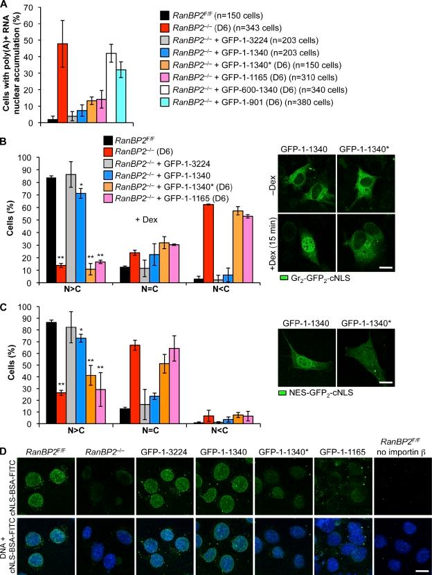 https://cdn.ncbi.nlm.nih.gov/pmc/blobs/e469/3160583/7aa383efa8d2/JCB_201102018R_RGB_Fig7.jpg