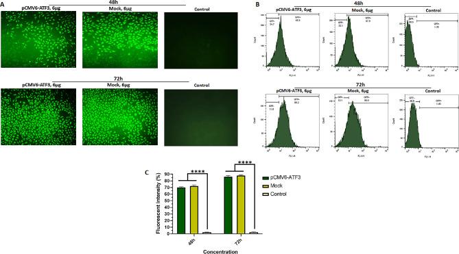 https://cdn.ncbi.nlm.nih.gov/pmc/blobs/e46d/11292864/e8602fd8fdf5/13044_2024_202_Fig1_HTML.jpg