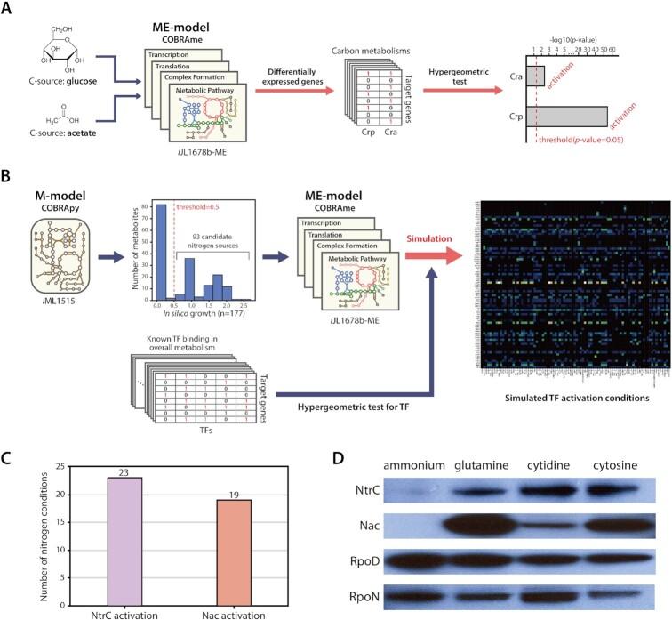 https://cdn.ncbi.nlm.nih.gov/pmc/blobs/e46f/9853098/3eaa45cb9571/lqad006fig1.jpg
