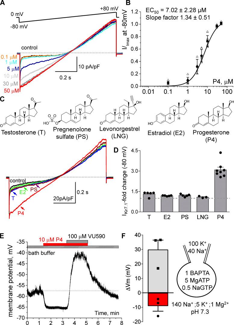 https://cdn.ncbi.nlm.nih.gov/pmc/blobs/e470/8374857/fdec8b28d468/JGP_202112924_Fig3.jpg