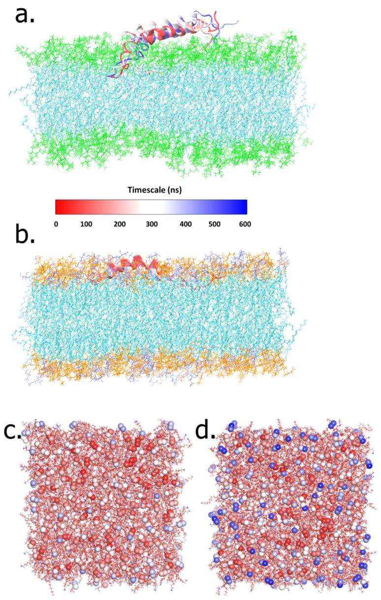 https://cdn.ncbi.nlm.nih.gov/pmc/blobs/e471/9654553/37c31cf1b61e/ijms-23-13413-g002.jpg