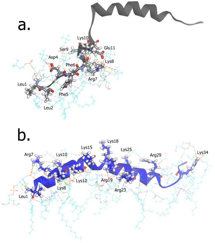 https://cdn.ncbi.nlm.nih.gov/pmc/blobs/e471/9654553/743f0552b931/ijms-23-13413-g003.jpg