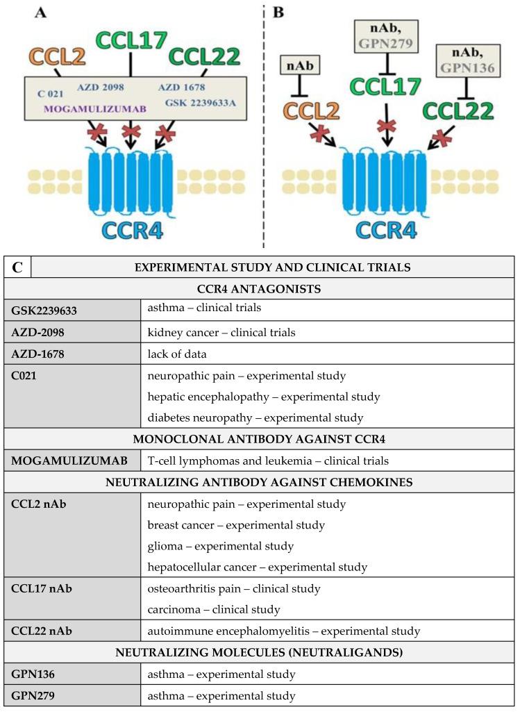 https://cdn.ncbi.nlm.nih.gov/pmc/blobs/e471/9779674/2c4458311089/ijms-23-15638-g003.jpg