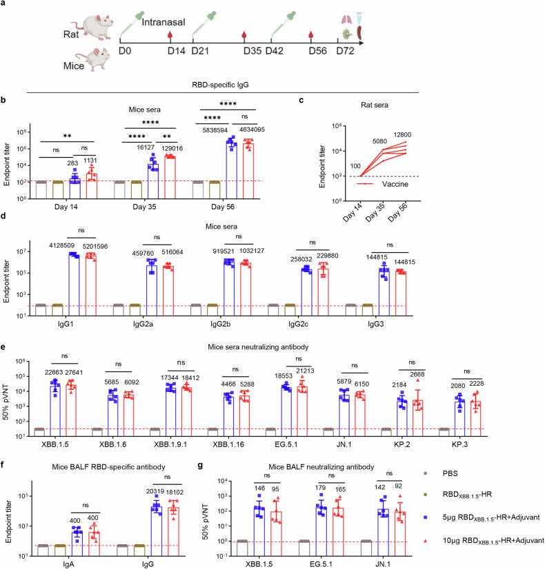 https://cdn.ncbi.nlm.nih.gov/pmc/blobs/e472/11577066/07a39e97f505/41392_2024_2025_Fig1_HTML.jpg