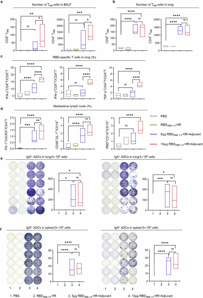 https://cdn.ncbi.nlm.nih.gov/pmc/blobs/e472/11577066/59103d86fbf2/41392_2024_2025_Fig2_HTML.jpg