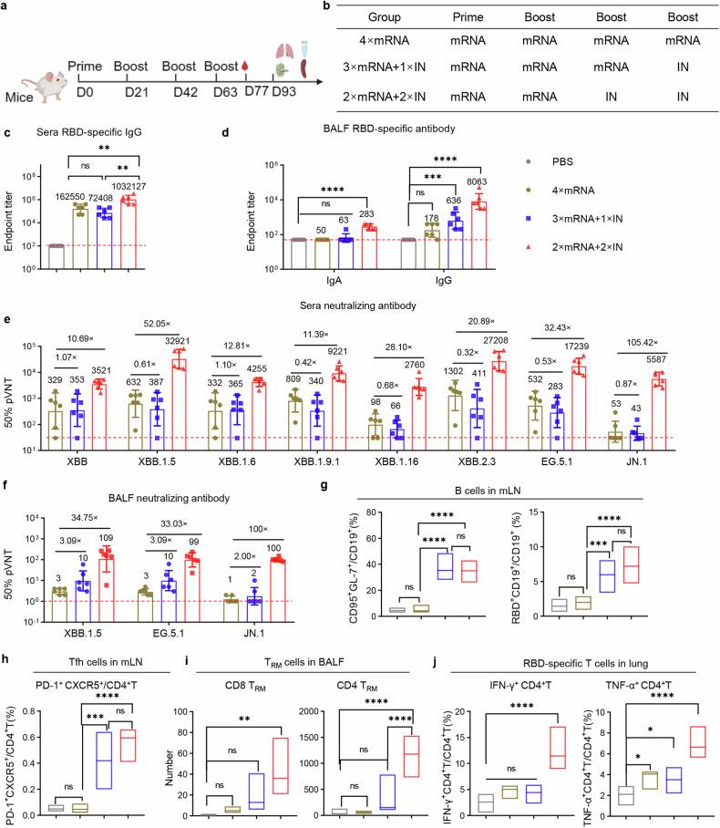 https://cdn.ncbi.nlm.nih.gov/pmc/blobs/e472/11577066/cddc17569087/41392_2024_2025_Fig5_HTML.jpg