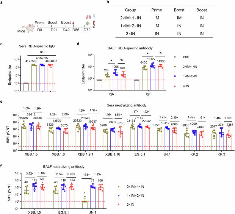 https://cdn.ncbi.nlm.nih.gov/pmc/blobs/e472/11577066/ef9d84497d1c/41392_2024_2025_Fig3_HTML.jpg