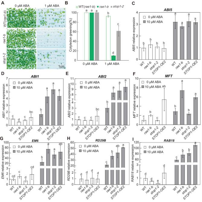 https://cdn.ncbi.nlm.nih.gov/pmc/blobs/e472/12070514/08d513a11089/12870_2025_6635_Fig6_HTML.jpg