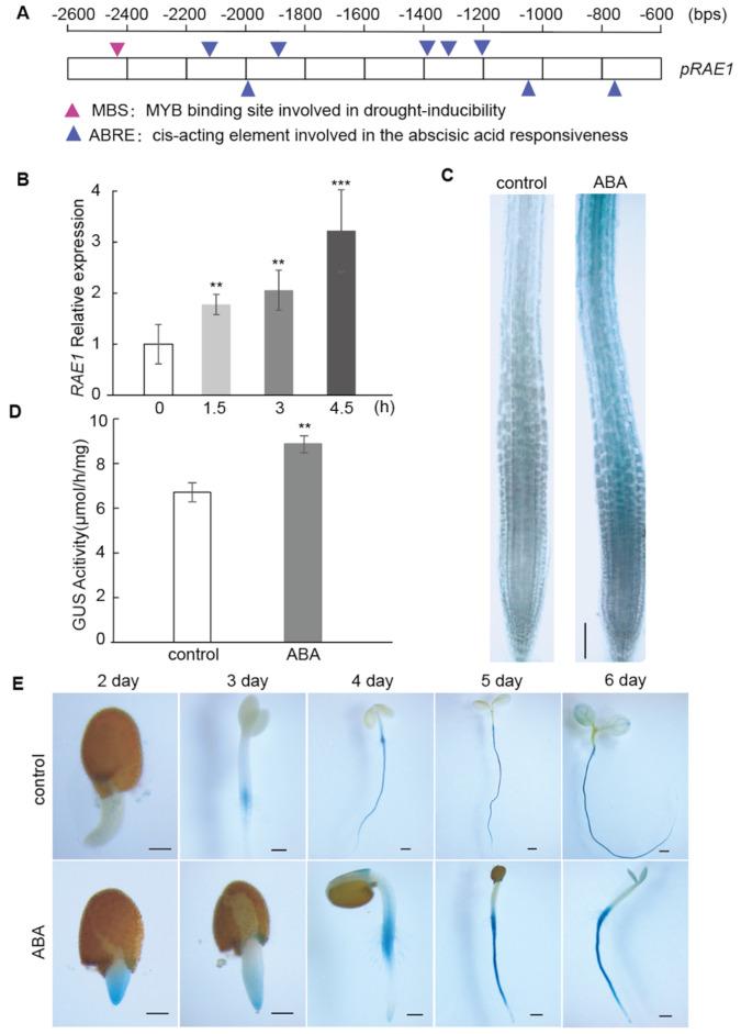 https://cdn.ncbi.nlm.nih.gov/pmc/blobs/e472/12070514/3cf58c48ba03/12870_2025_6635_Fig1_HTML.jpg