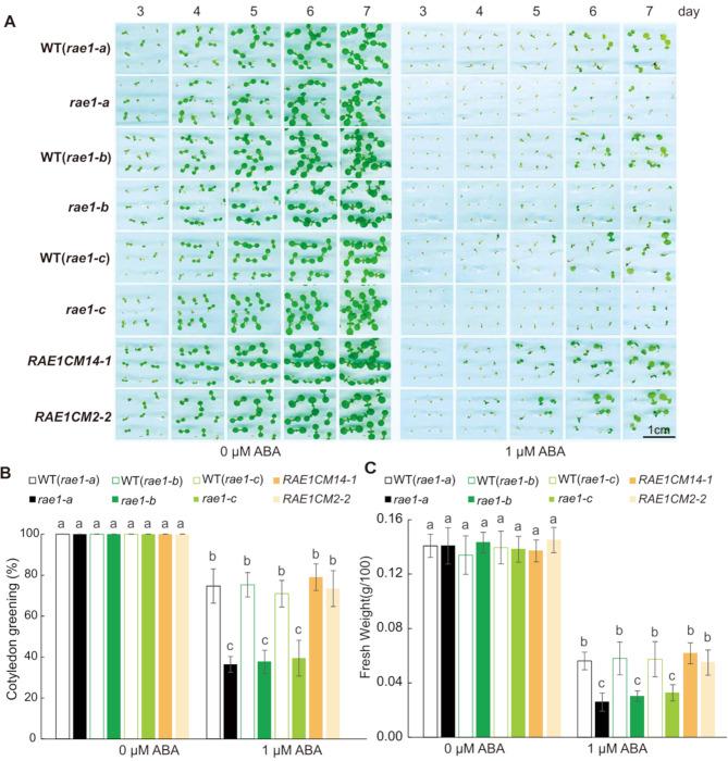 https://cdn.ncbi.nlm.nih.gov/pmc/blobs/e472/12070514/c6f493d2202f/12870_2025_6635_Fig2_HTML.jpg