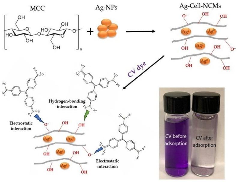https://cdn.ncbi.nlm.nih.gov/pmc/blobs/e473/10674550/4075f58fa470/polymers-15-04394-sch001.jpg