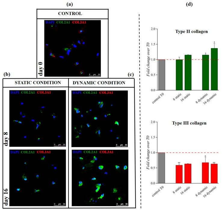 https://cdn.ncbi.nlm.nih.gov/pmc/blobs/e473/8002618/1f86d44e09fd/pharmaceutics-13-00399-g008.jpg