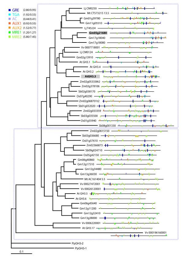 https://cdn.ncbi.nlm.nih.gov/pmc/blobs/e474/3438128/398a518107c2/1471-2229-12-125-1.jpg