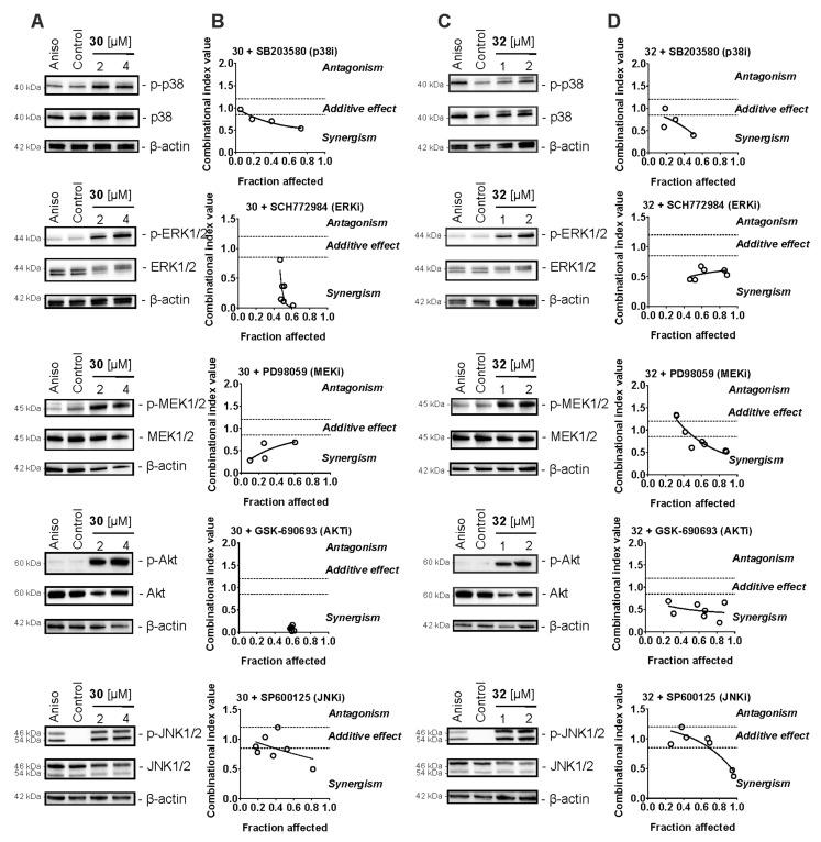 https://cdn.ncbi.nlm.nih.gov/pmc/blobs/e474/8540265/04649c940ff3/pharmaceuticals-14-00949-g004.jpg