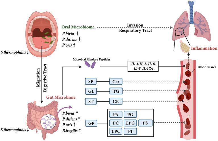 https://cdn.ncbi.nlm.nih.gov/pmc/blobs/e475/11165567/ad94f66f903c/fmicb-15-1400079-g007.jpg