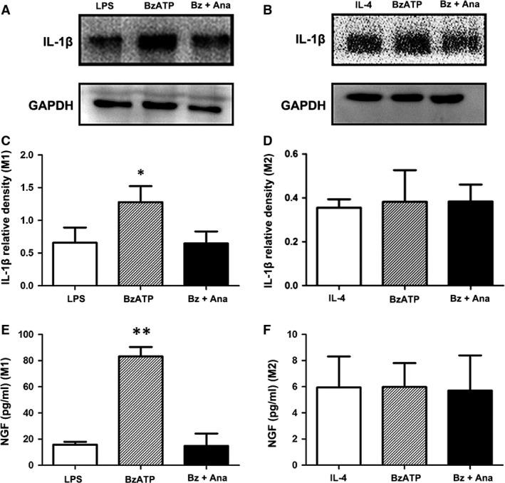https://cdn.ncbi.nlm.nih.gov/pmc/blobs/e476/5661108/2f90285c9edf/JCMM-21-2695-g010.jpg