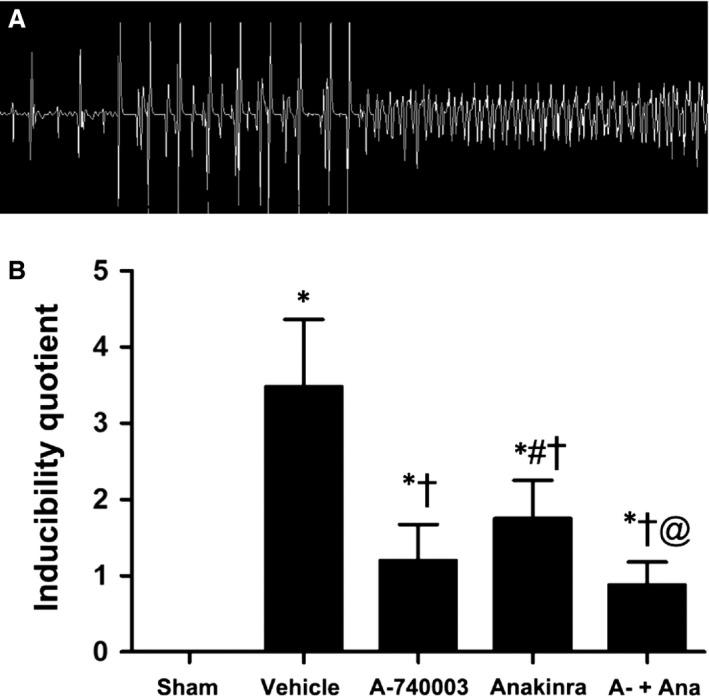 https://cdn.ncbi.nlm.nih.gov/pmc/blobs/e476/5661108/506a84996b94/JCMM-21-2695-g008.jpg