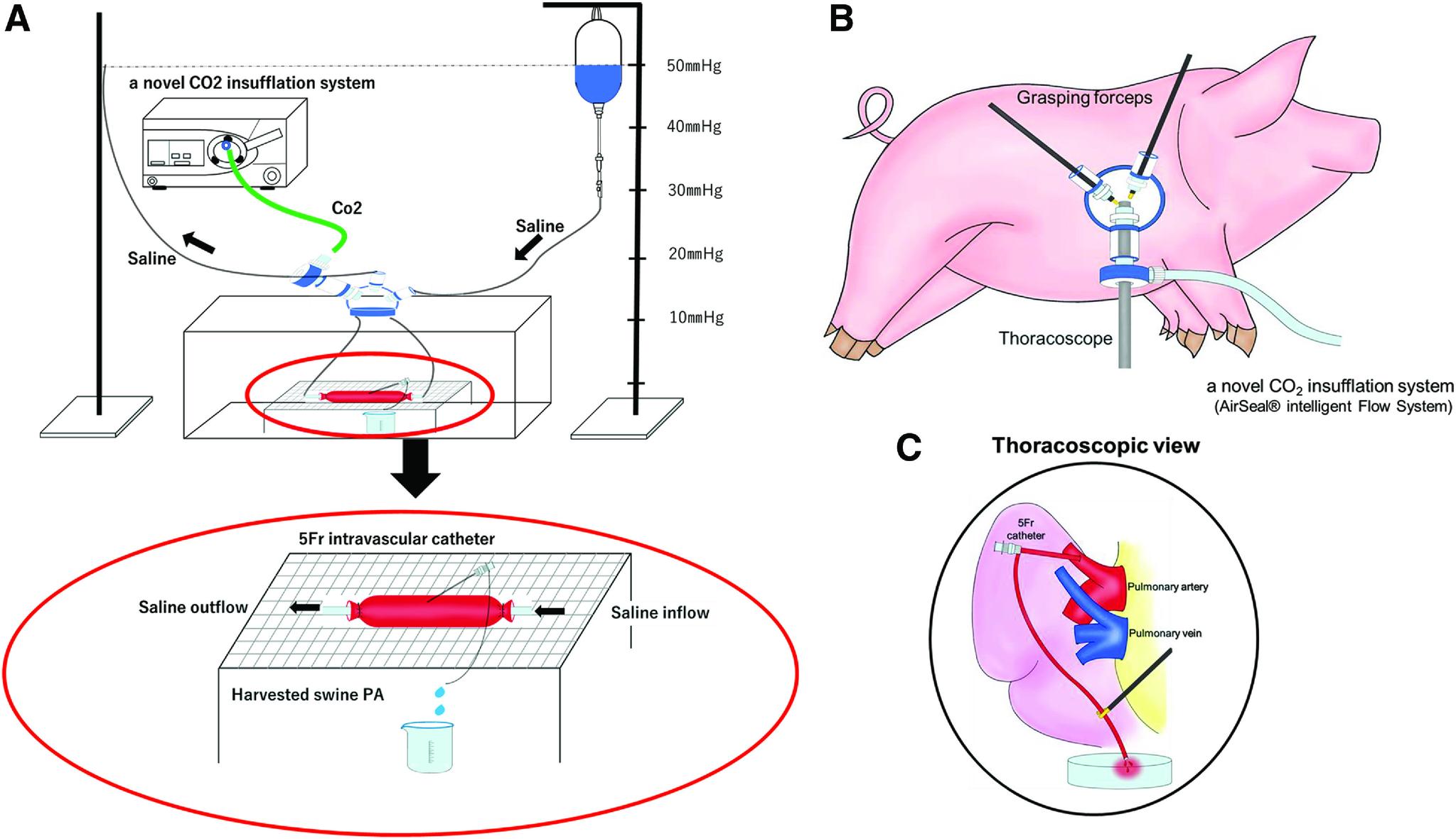 https://cdn.ncbi.nlm.nih.gov/pmc/blobs/e476/9763713/0e36e56b7c2f/atcs-28-403-g001.jpg