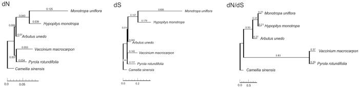 https://cdn.ncbi.nlm.nih.gov/pmc/blobs/e479/4958920/e98117feb04e/srep30042-f2.jpg